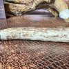 Replacement Antler/Stag Handle:  (fits Mach 3 or Fusion heads from original Every Knight Forge Razor) - Image 2